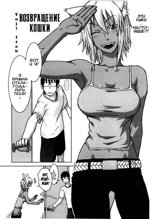 Возвращение кошки Хентай манга и Додзинси