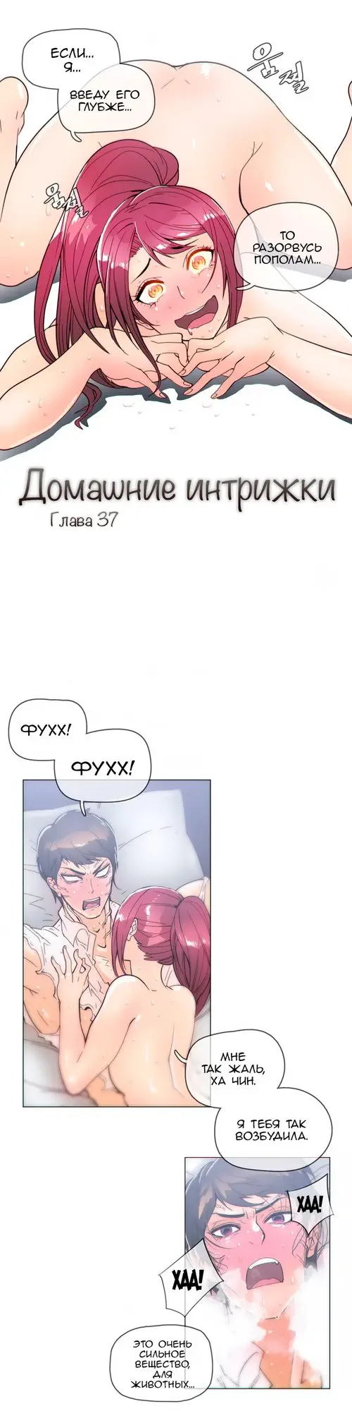 Household Affairs - глава 37 Хентай манга и Додзинси