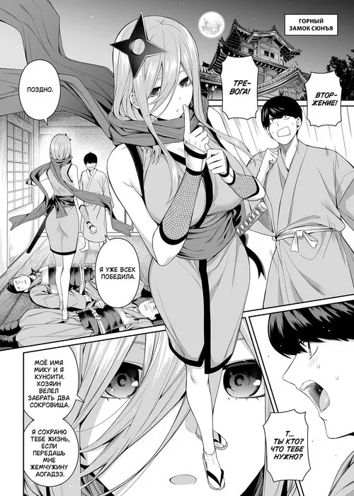 Записки ниндзя Хентай манга и Додзинси