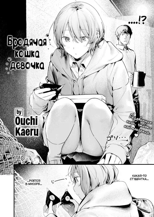 Бродячая кошка-Девочка (Stray Cat-Girl) Хентай манга и Додзинси