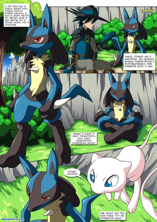 Pokemon. Lucario's Gift / Подарок Лукарио