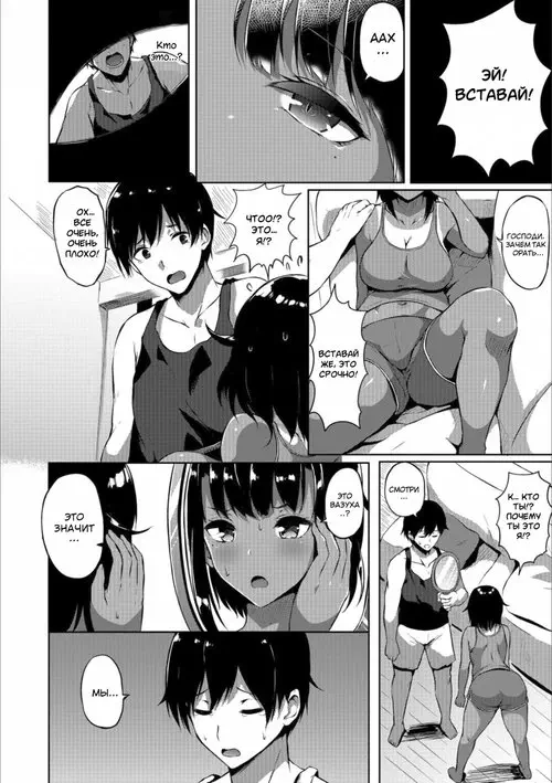 Siscon Brocon