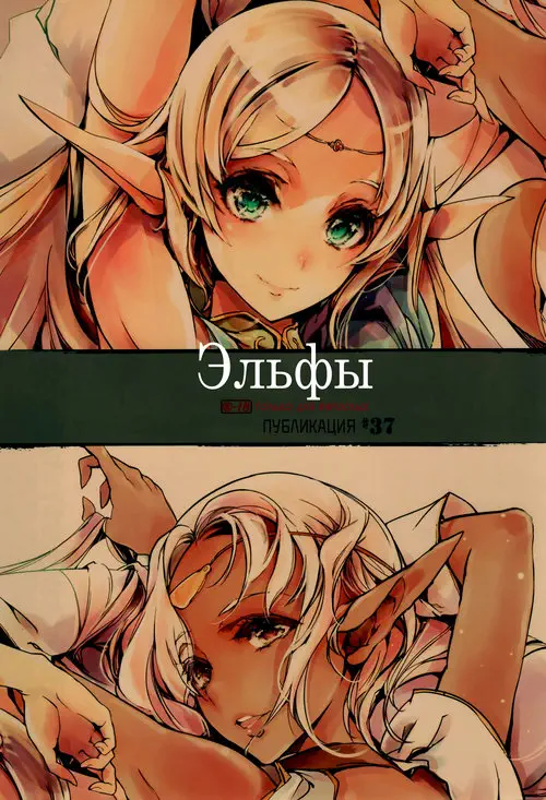 Record of Lodoss War. Elves / Эльфы Хентай манга и Додзинси
