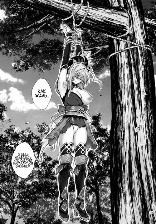 Fate/Grand Order. Gomen Nasai / Простите меня