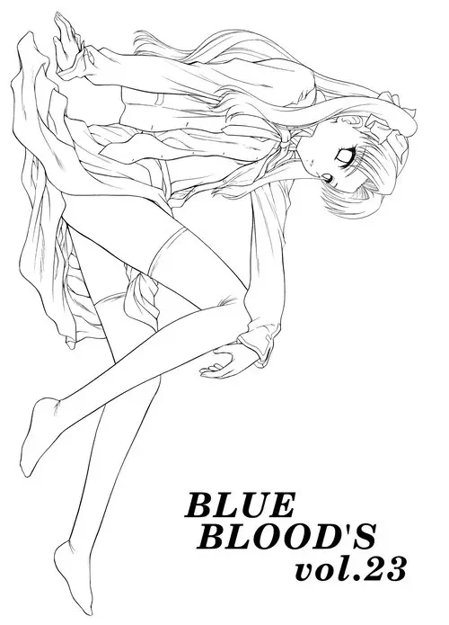 Fate/Stay Night. BLUE BLOOD'S Vol. 23