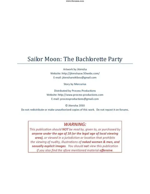 Sailor Moon. Sailor Moon - The bachelorette party / Сейлор Мун - девичник