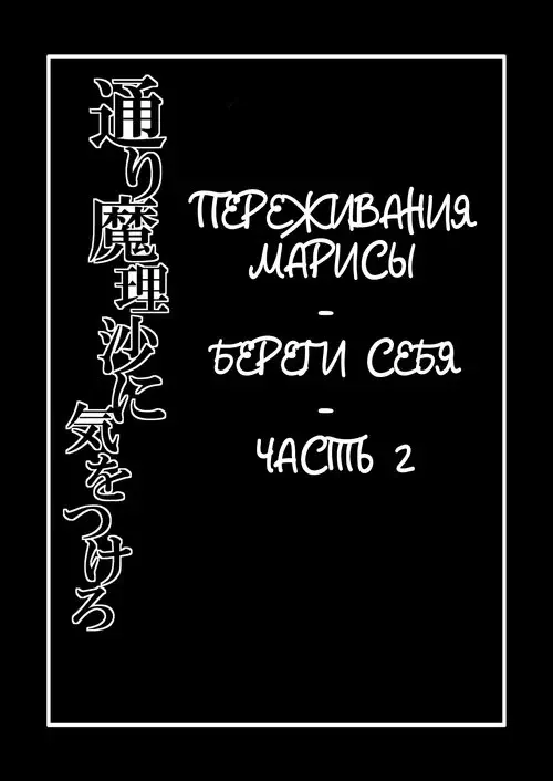 Touhou Project. Marisa's Thrill - Take Care of Yourself глава 2