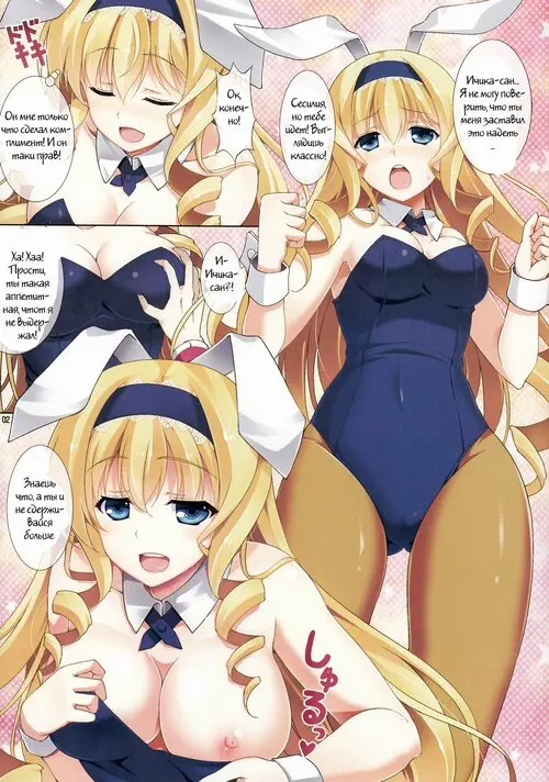 Infinite Stratos. Cecilia Usagi wa Hatsujou Chuu