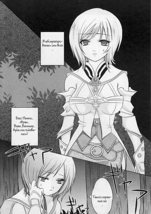 Final Fantasy XII. Oujo no Michikusa