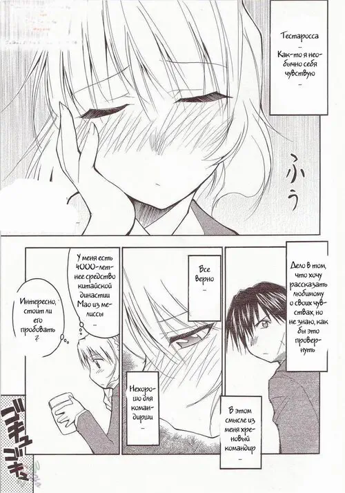 Full Metal Panic!. Full Metal глава 2