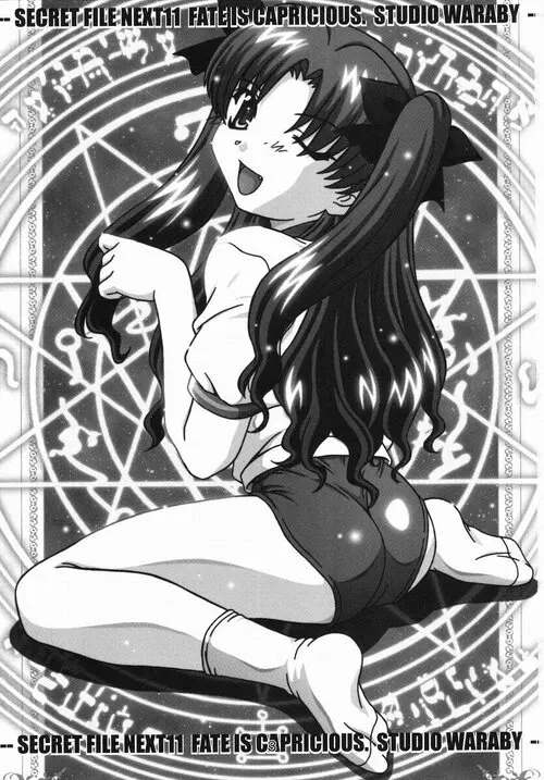 Secret File Next 11 - Fate is Capricious Хентай манга читать онлайн Fate/Stay Night. Secret File Next 11 - Fate is Capricious Хентай манга и Додзинси