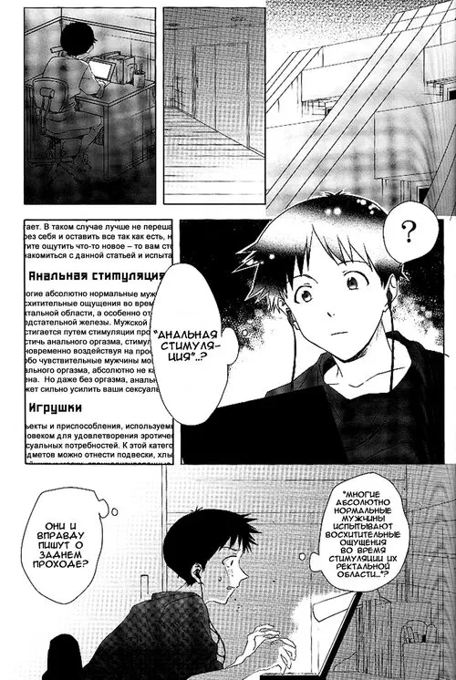 Neon Genesis Evangelion. Hole Circumstances of my Secret / Тайные обстоятельства моего отверстия