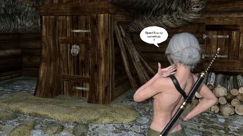 The Witcher. The Traveler глава 2