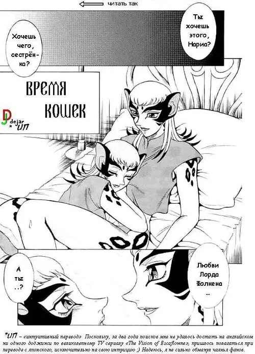 The Vision Of Escaflowne. Cat Party / Время кошек