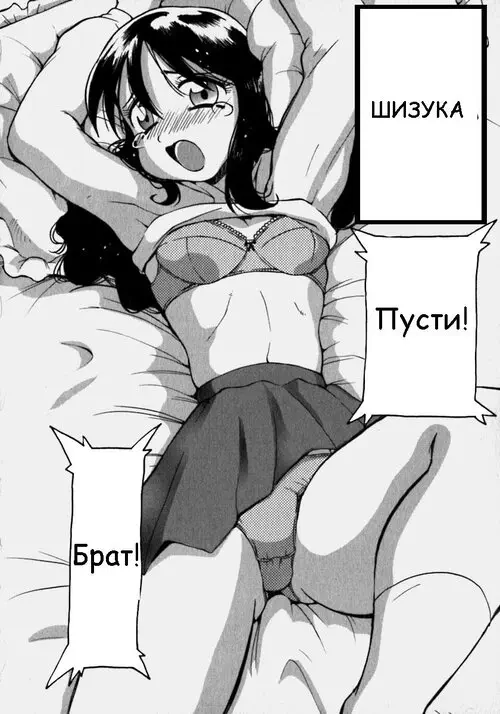 ШИЗУКА Хентай манга и Додзинси