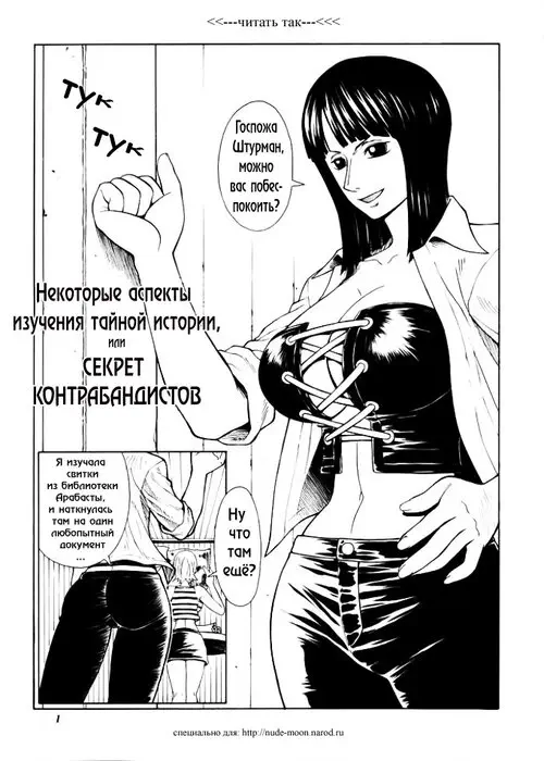 One Piece. One Piece Adult (Некоторые аспекты изучения тайной истории или секрет контрабандистов) Хентай манга и Додзинси