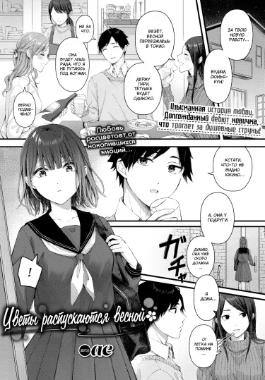 Цветы распускаются весной Том - 1 Глава - 1 Хентай манга и Додзинси