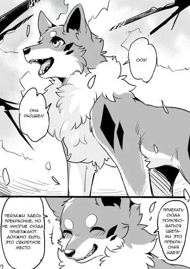 Тайное место для просмотра цветов Том - 1 Глава - 1 Хентай манга и Додзинси