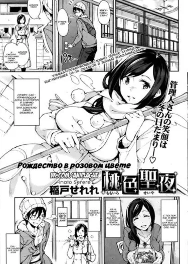 Рождество в розовом цвете Хентай манга и Додзинси