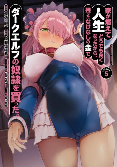 У меня сгорел дом, и, чтобы подсластить жизнь, на оставшиеся деньги я купил рабыню-темного эльфа Том - 3 Глава - 11-6 Хентай манга и Додзинси