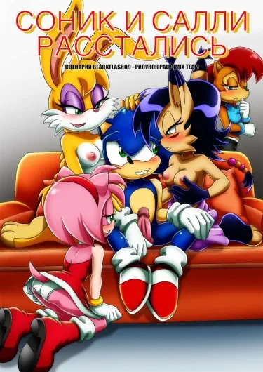 Соник и Салли расстались Том - 1 Глава - 1 Хентай манга и Додзинси