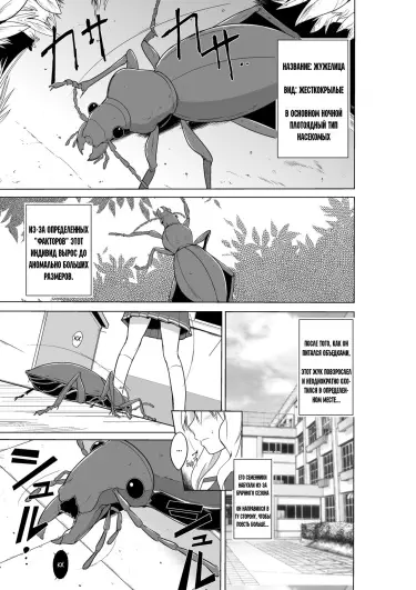 Sasara no Mushiasobi Том - 1 Глава - 1 Хентай манга и Додзинси